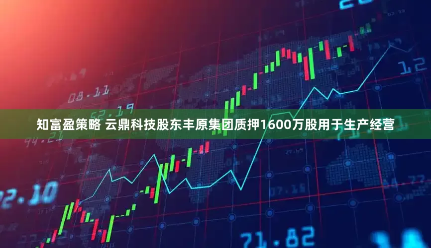 知富盈策略 云鼎科技股东丰原集团质押1600万股用于生产经营