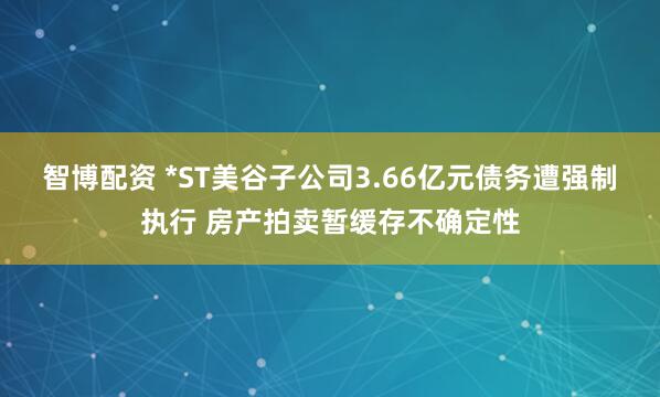 智博配资 *ST美谷子公司3.66亿元债务遭强制执行 房产拍卖暂缓存不确定性