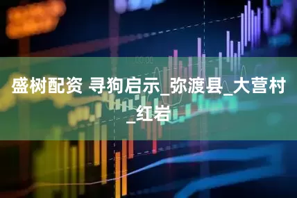 盛树配资 寻狗启示_弥渡县_大营村_红岩
