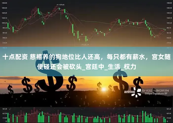 十点配资 慈禧养的狗地位比人还高，每只都有薪水，宫女随便碰还会被砍头_宫廷中_生活_权力