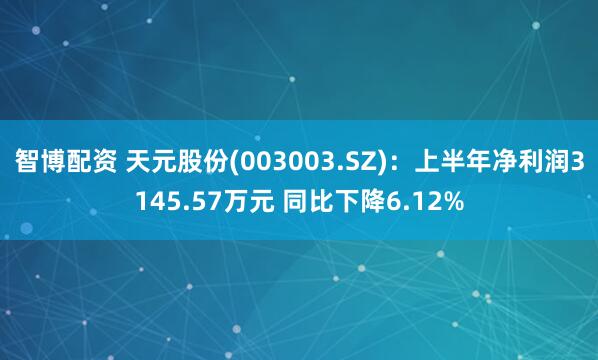 智博配资 天元股份(003003.SZ)：上半年净利润3145.57万元 同比下降6.12%
